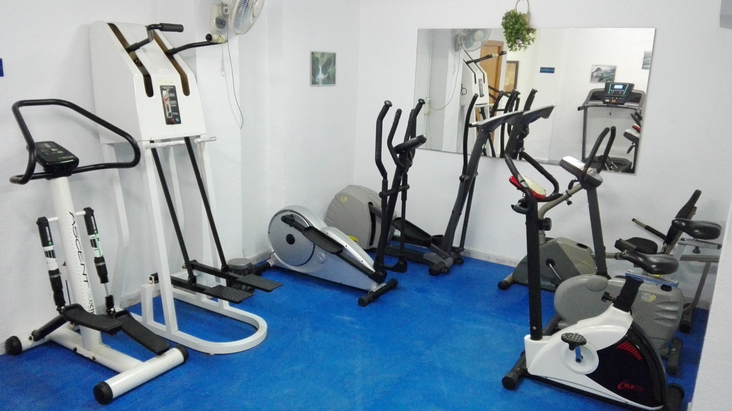 EL GIMNASIO CHAZARRA A ADQUIRIDO UNA NUEVA BICICLETA ELIPTICA